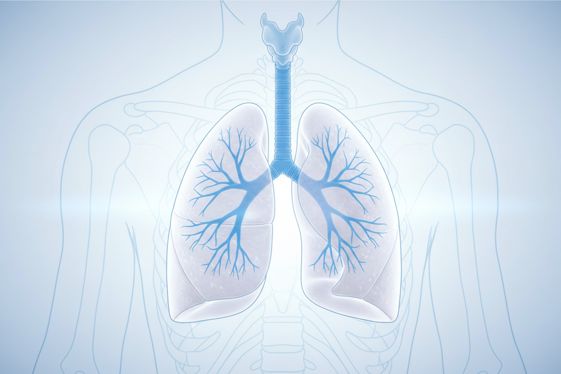 Pulmonary Medicine at Shanghai Chest Hospital | CMCS